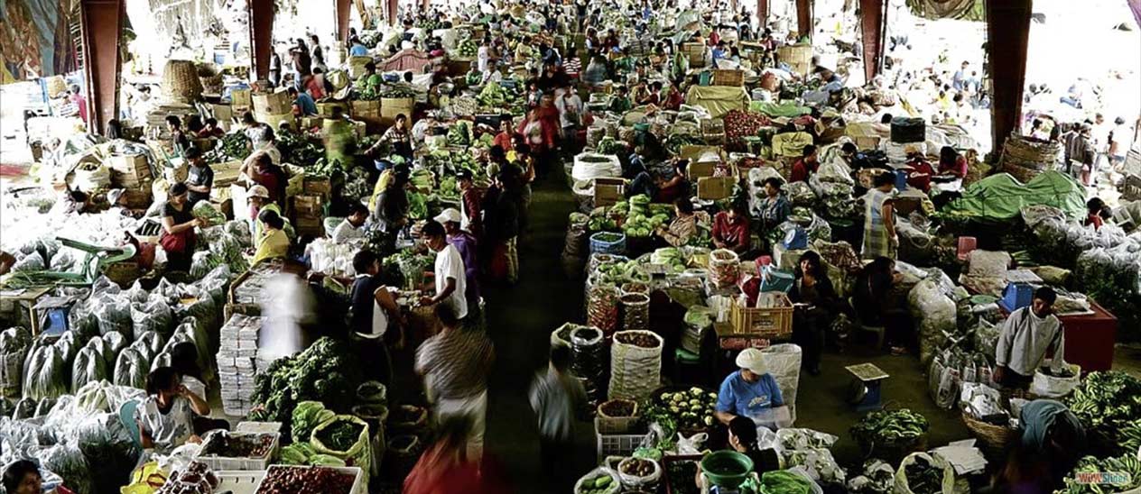 THE VEGETABLE trading post, photo by EV Espiritu